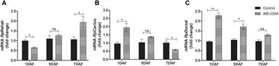 The NF-κB Inhibitor, IMD-0354, Affects Immune Gene Expression, Bacterial Microbiota and Trypanosoma cruzi Infection in Rhodnius prolixus Midgut